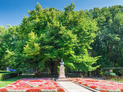 Teiul lui Eminescu Iasi Romania