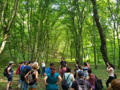 Romania-Cluj-Padurea-Hoia-Baciu-Sighisoara-Madaras-Lavanda-Gradina-Botanica-Salina-Turda-2019-82