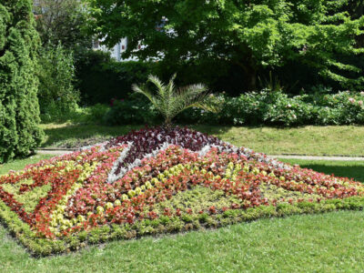Gradina Botanica