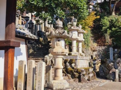 Japonia si Culorile Toamnei Terra