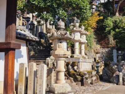 Japonia Terra