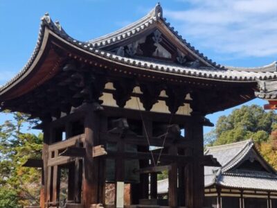 Japonia Terra
