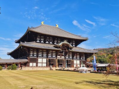 Japonia Terra