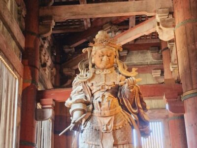 Japonia si Culorile Toamnei Terra