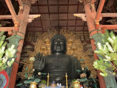 Japonia si Culorile Toamnei Terra