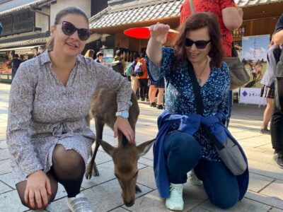 Japonia si Culorile Toamnei Terra