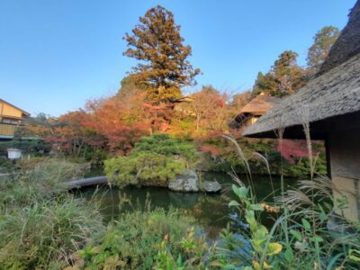 Japonia Terra