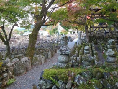 Japonia Terra