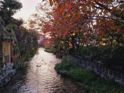 Japonia si Culorile Toamnei Terra