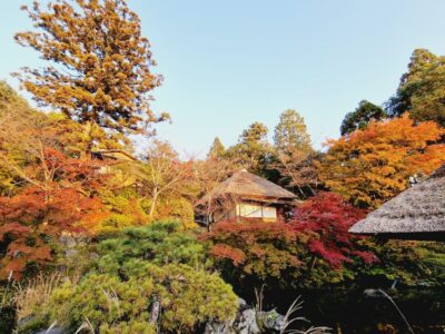 Japonia si Culorile Toamnei Terra