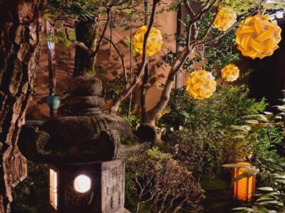 Japonia si Culorile Toamnei Terra