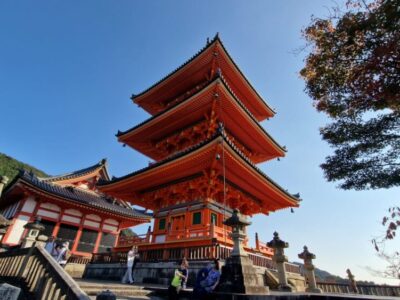 Japonia Terra