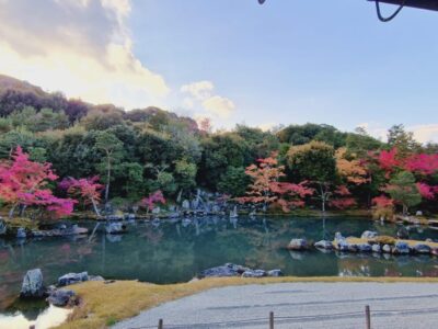 Japonia si Culorile Toamnei Terra