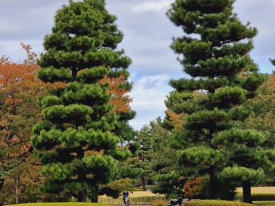 Japonia si Culorile Toamnei Terra