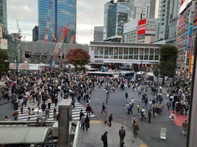 Japonia si Culorile Toamnei Terra