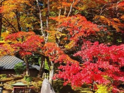 Japonia Terra