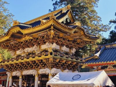 Japonia si Culorile Toamnei Terra