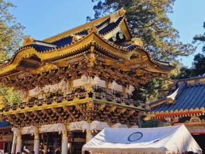 Japonia Terra