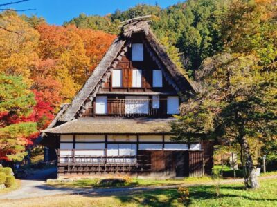 Japonia Terra