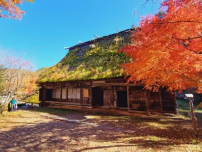 Japonia Terra