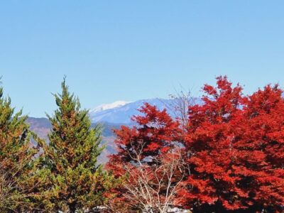Japonia Terra