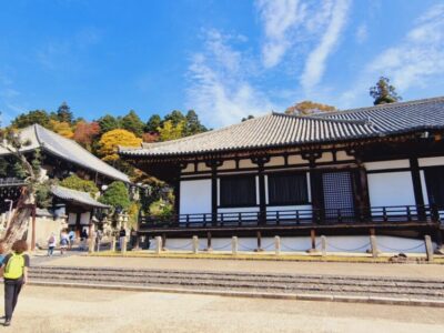 Japonia Terra