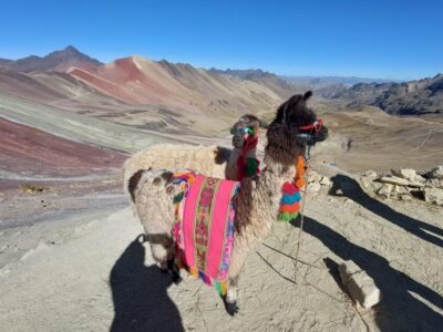 Cu prietenii in Peru - Marele Tur15