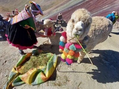 Cu prietenii in Peru - Marele Tur45