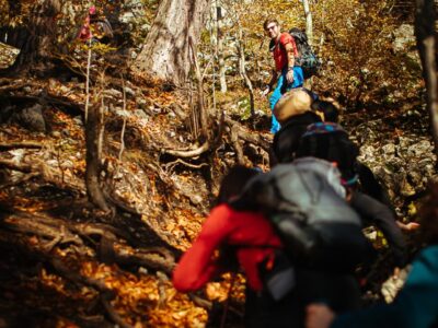 Magura Branului - Traseul cu privelisti de vis