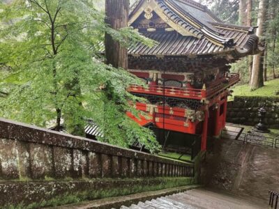 Prietenii, Japonia și cultorile toamnei 15