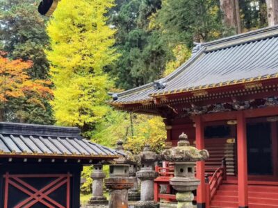 Prietenii, Japonia și cultorile toamnei12