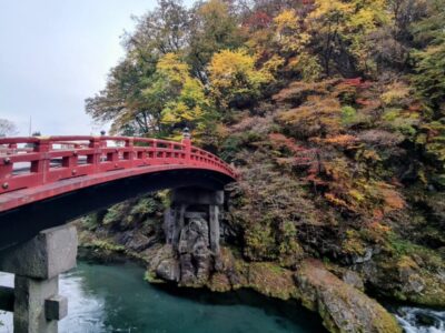Prietenii, Japonia și cultorile toamnei15