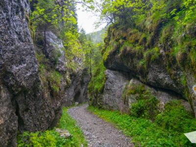 Tinutul Momârlanilor