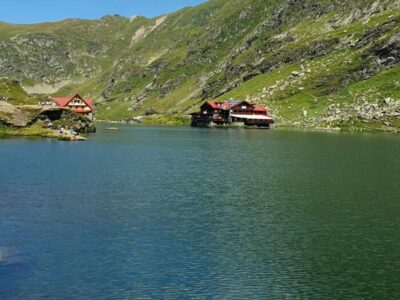 Tuberozele, Haferlandul si Transfagarasanul 10