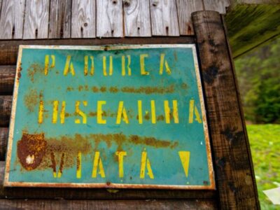 Vrancea Sălbatică