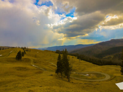 Vrancea Sălbatică