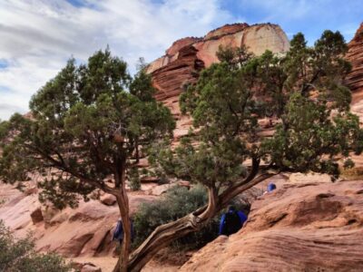 Route 66 si Vestul Americii Terra Once in a Lifetime