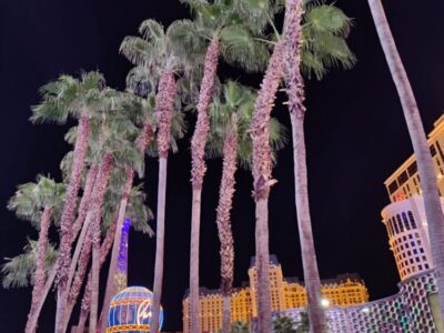 Route 66 si Vestul Americii Terra Once in a Lifetime