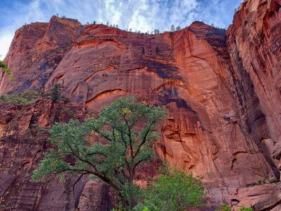 Route 66 si Vestul Americii Terra Once in a Lifetime