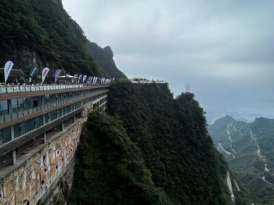 China Terra
