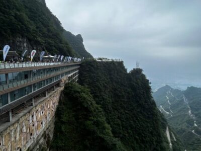 China Terra
