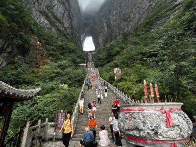 China Terra