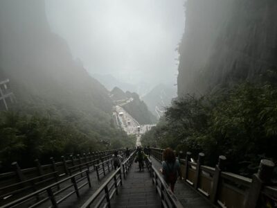 China Terra
