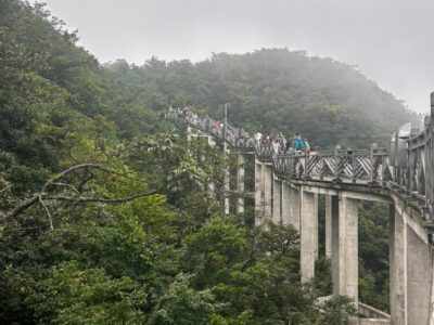 China Terra