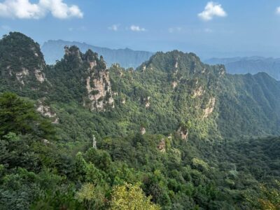 China Terra