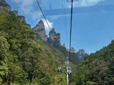 China Terra