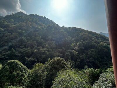 China Terra