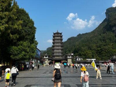 China Terra