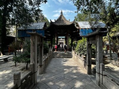 China Terra