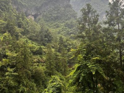 China Terra
